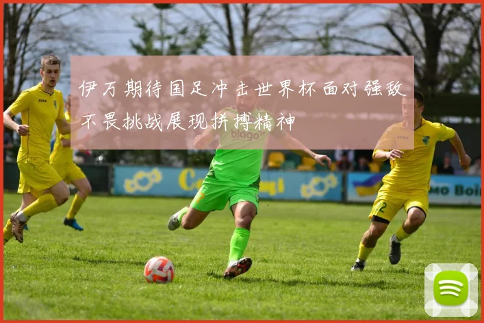 伊万期待国足冲击世界杯面对强敌不畏挑战展现拼搏精神