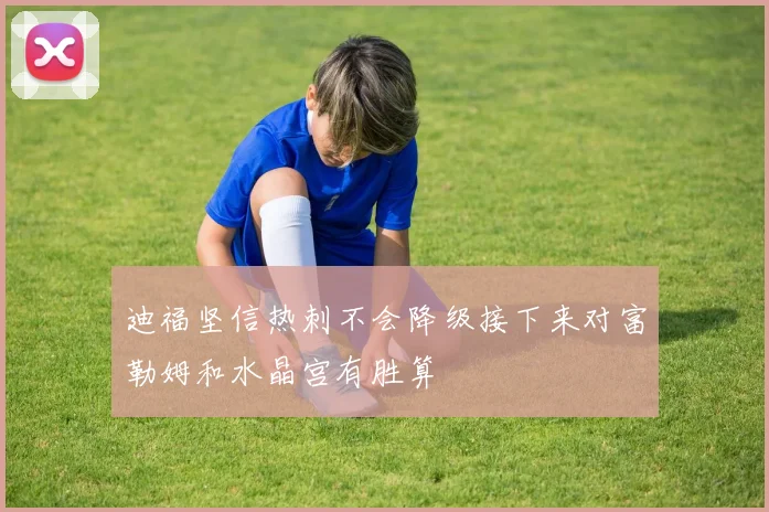 迪福坚信热刺不会降级接下来对富勒姆和水晶宫有胜算