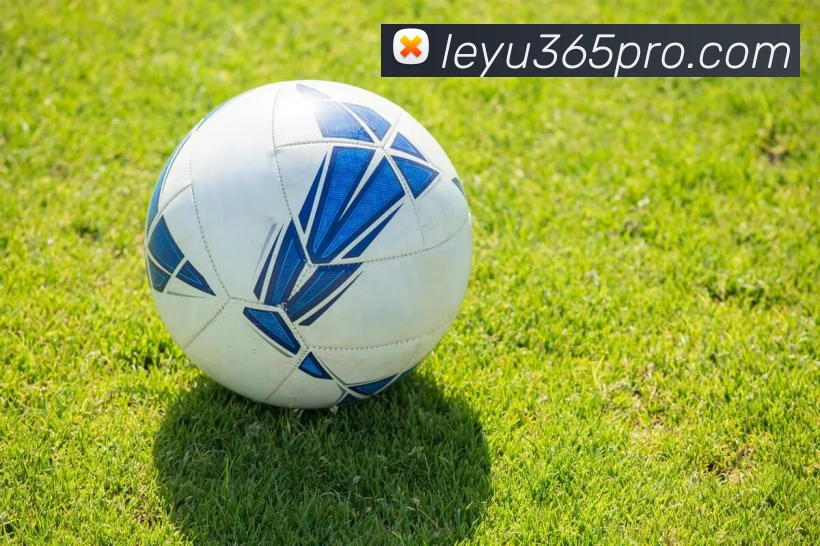 乐鱼体育APP 封面图